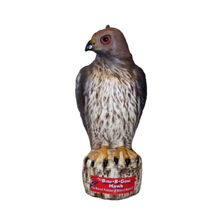 Bird-B-Gone Bird B Gone Inc. B44 MMRTH1X Bird B Gone Hawk Decoy B44 MMRTH1X